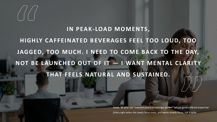 Fuze Tea Plus Bundle PDF, first slide